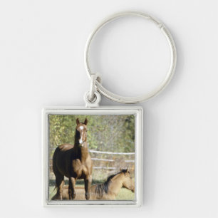 Paarden in weide sleutelhanger