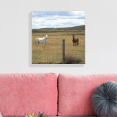 Paarden in Wyoming Canvas (Insitu (Woonkamer))