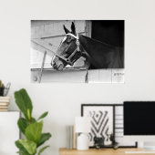 Paarden in zwart-wit,  fotografie poster (Thuiskantoor)