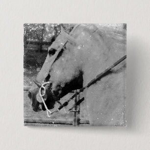 Paarden in zwart-wit vierkante button 5,1 cm