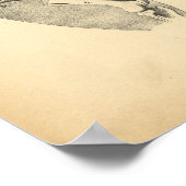 Paarden Interne anatomie 1908 afdrukken Poster (Hoek)