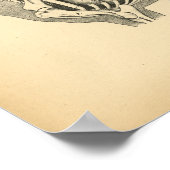 Paarden Interne anatomie 1908 afdrukken Poster (Hoek)