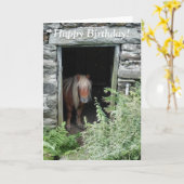 PAARDEN KAART (Gele Bloem)