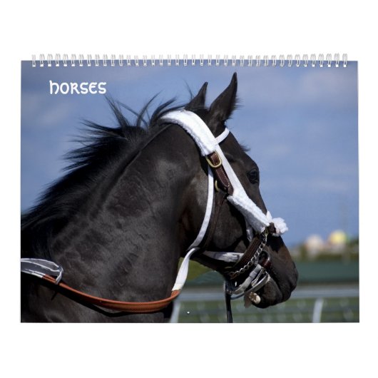 paarden kalender (Hoes)
