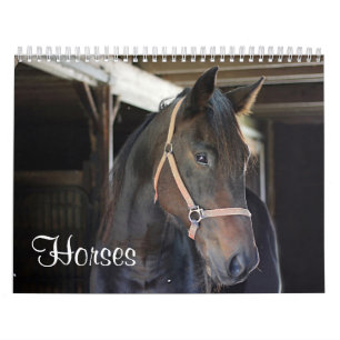 Paarden Kalender