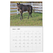 Paarden Kalender (Mar 2027)