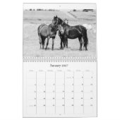 Paarden Kalender (Jan 2027)