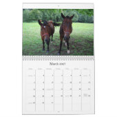 Paarden Kalender (Mar 2027)