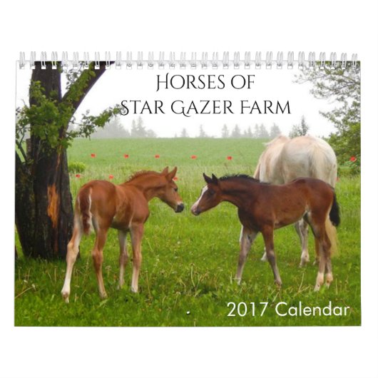 Paarden Kalender 2017 (Hoes)
