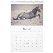Paarden kalender... kalender (Mar 2026)