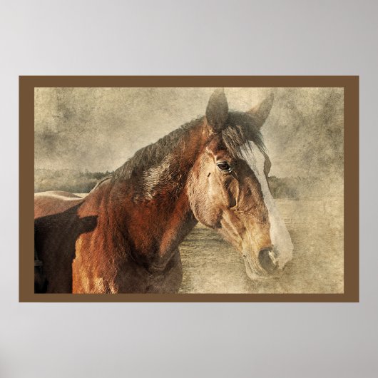 Paarden Kunstwerk Foto Poster (Voorkant)