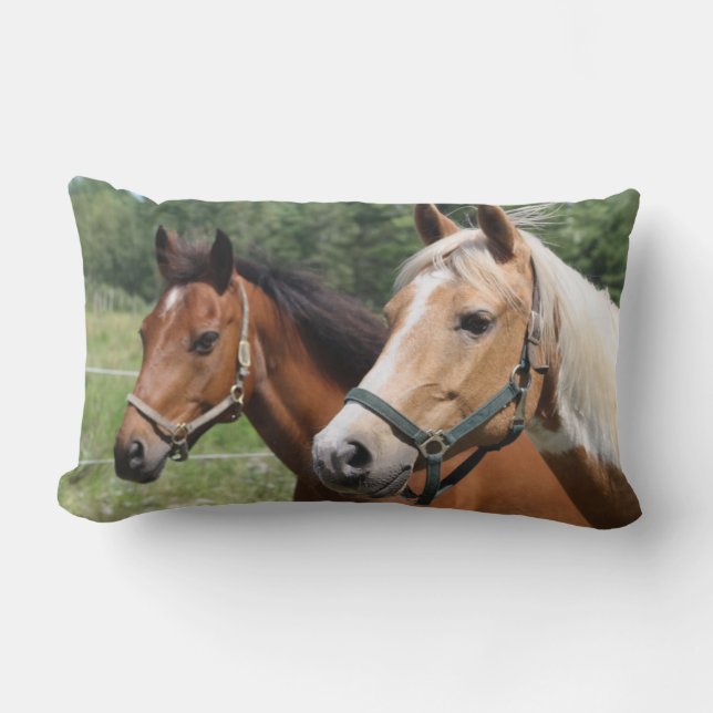 Paarden Kussen (Voorkant)