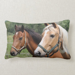 Paarden Kussen