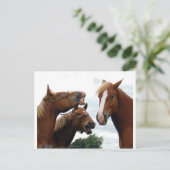 Paarden lachen briefkaart (Staand voorkant)