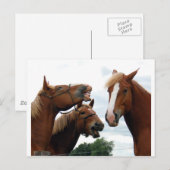 Paarden lachen briefkaart (Voorkant / Achterkant)