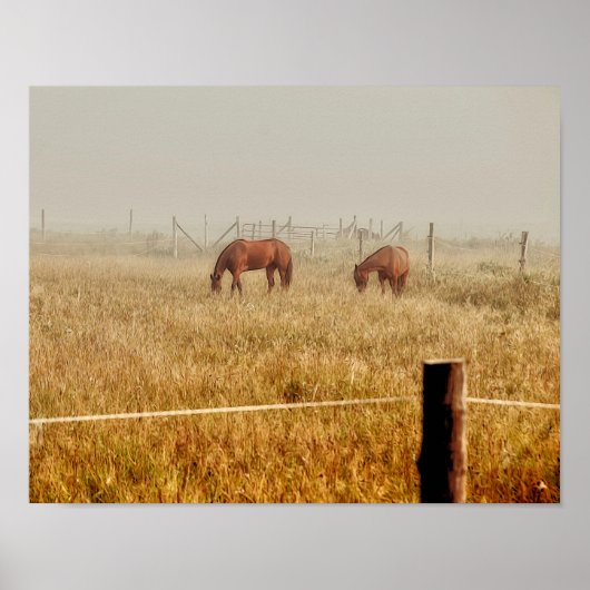 Paarden Land Boerderij Rustic Brown ontkoppeling Poster (Voorkant)