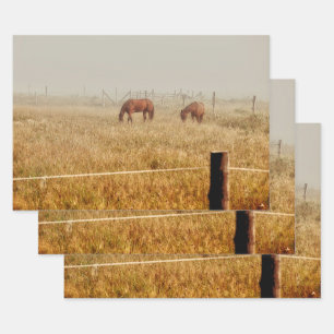 Paarden Land Rustic Brown-ontkoppeling Inpakpapier Vel