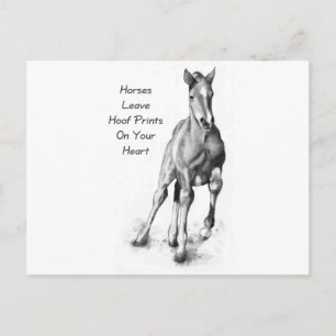 Paarden laten hoofdafdrukken op je hart achter: Po Briefkaart
