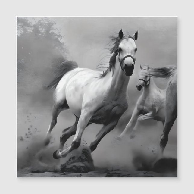 Paarden lopen (Voorkant)