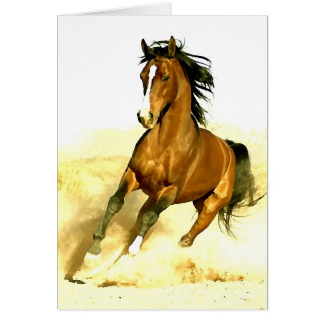 Paarden lopen (Voorkant)