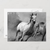 Paarden lopen briefkaart (Voorkant / Achterkant)