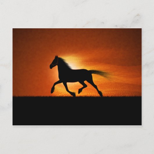 Paarden lopen briefkaart (Voorkant)