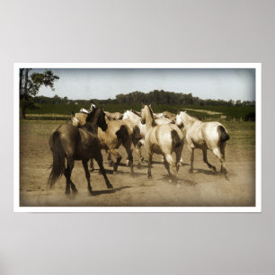 Paarden lopen poster
