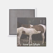 paarden magneet (Voorkant / Achterkant)