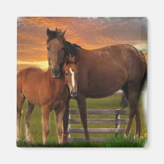 Paarden Magneet (Voorkant)