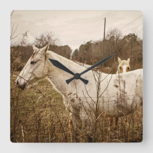 Paarden mama wandklok vierkante klok