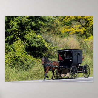 Paarden met Buggy in Amish Country Poster