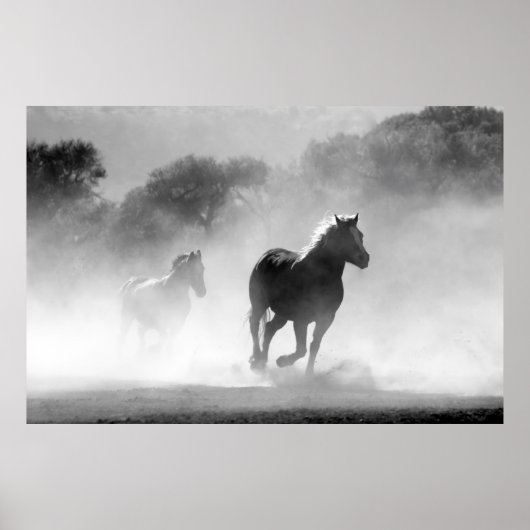 Paarden met een zwart en wit mooi landschap poster (Voorkant)