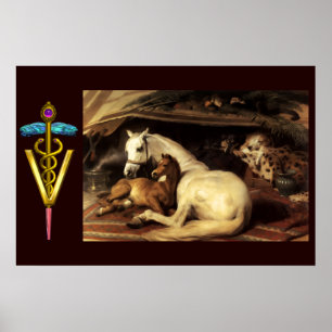 PAARDEN MET GOUDEN CADUCEUS VETERINAIR SYMBOOL POSTER