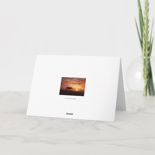 Paarden met lichte paardensympathikaart kaart (Achterkant)