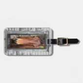 Paarden met naam bagagelabel (Voorkant horizontaal)