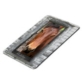 Paarden met naam magneet (Linkerzijde)