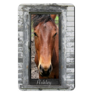 Paarden met naam magneet