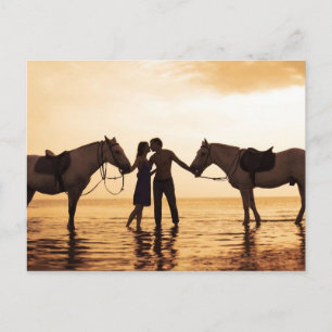 Paarden met paar paarden briefkaart
