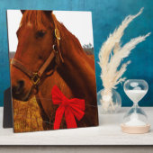 Paarden met rode poot fotoplaat (Zijkant)