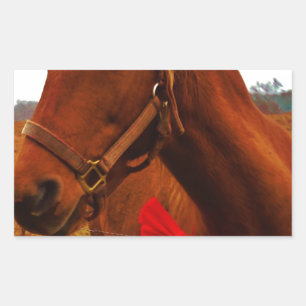 Paarden met rode poot rechthoekige sticker