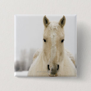 Paarden met sneeuw op kop vierkante button 5,1 cm
