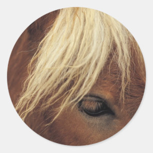 Paarden met witte mane ronde sticker