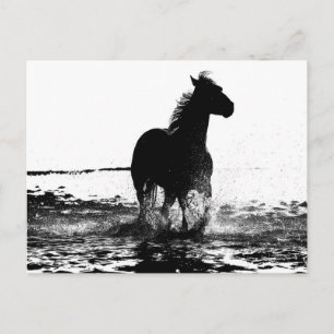 Paarden Modern Black & White Pop Art Afbeelding Briefkaart