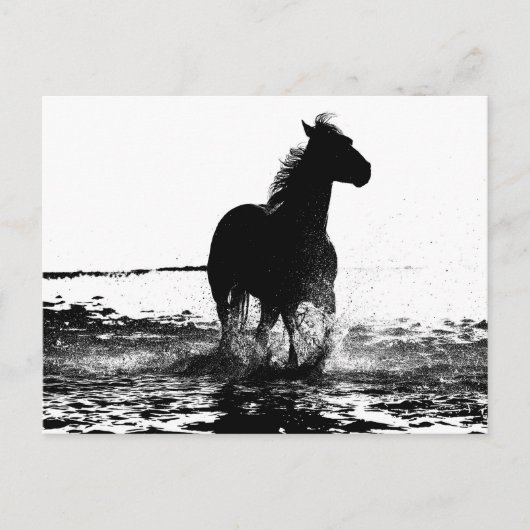 Paarden Modern Black & White Pop Art Afbeelding Briefkaart (Voorkant)