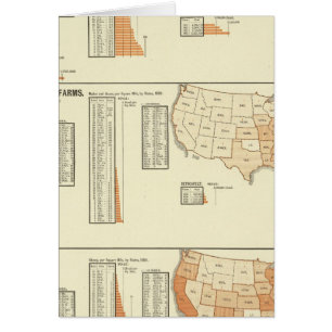 Paarden, muildieren, ezels, schapen