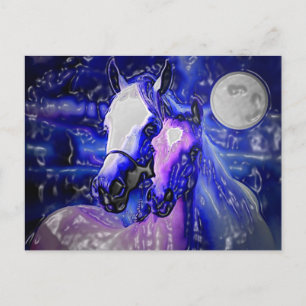 Paarden & Nacht Briefkaart