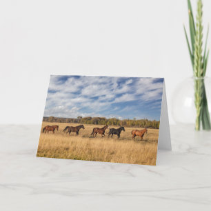 Paarden net buiten Grand Teton National Park Kaart