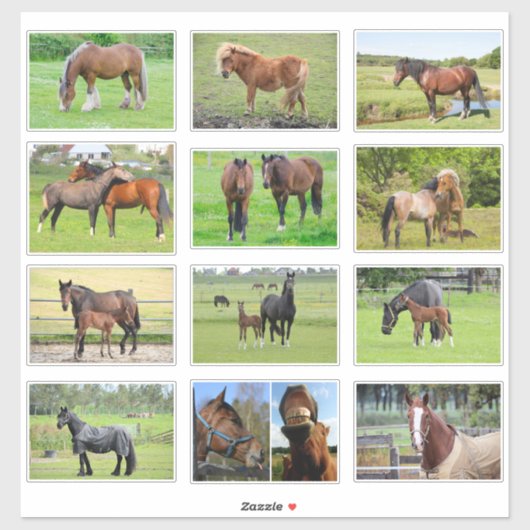 Paarden (of UW foto's) stickers (Vel)