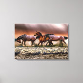 Paarden omwikkeld canvas (Voorkant)