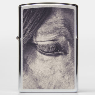 Paarden Oog 002